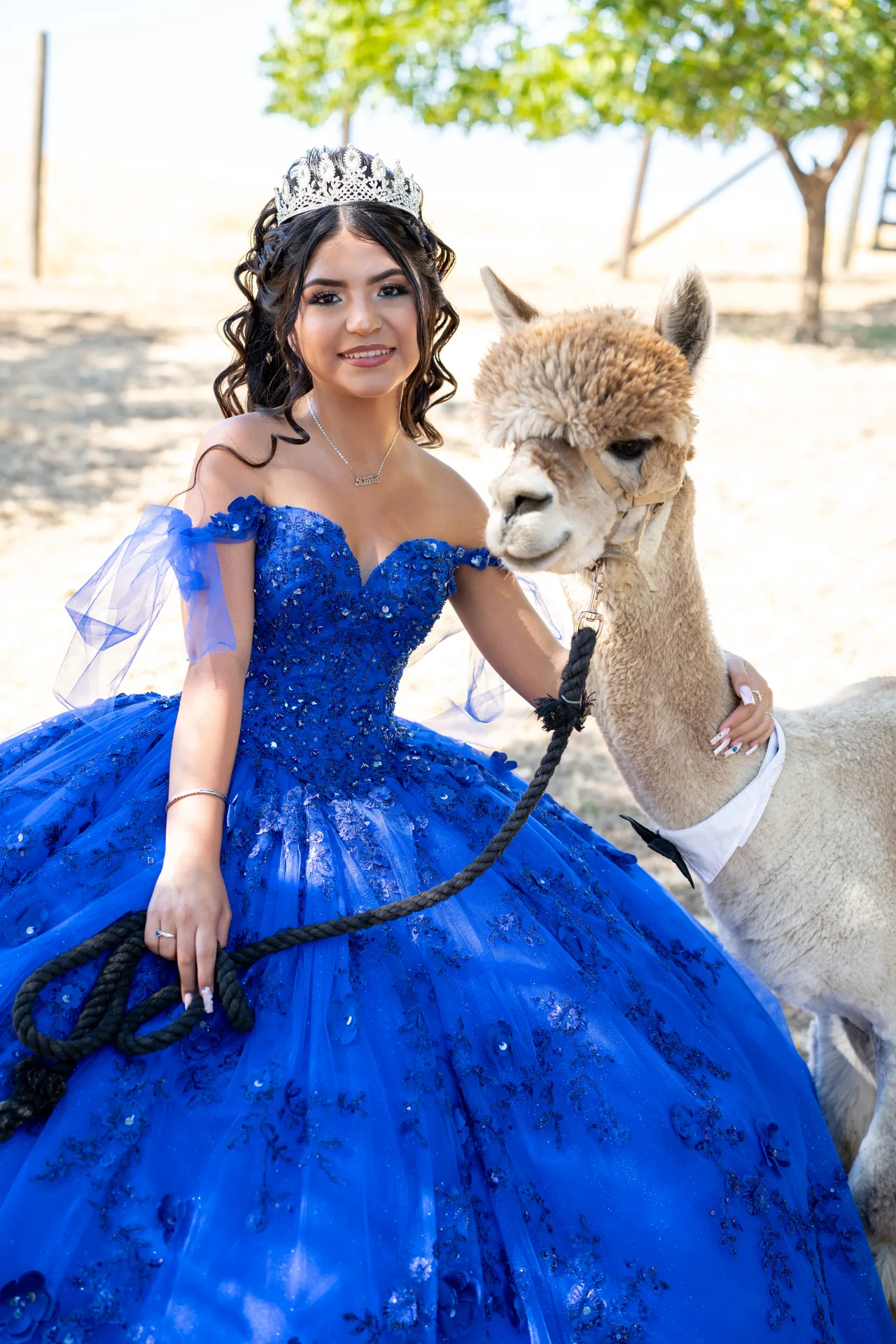 Quinceañera abrazando una alpaca con vestido azul royal y corona