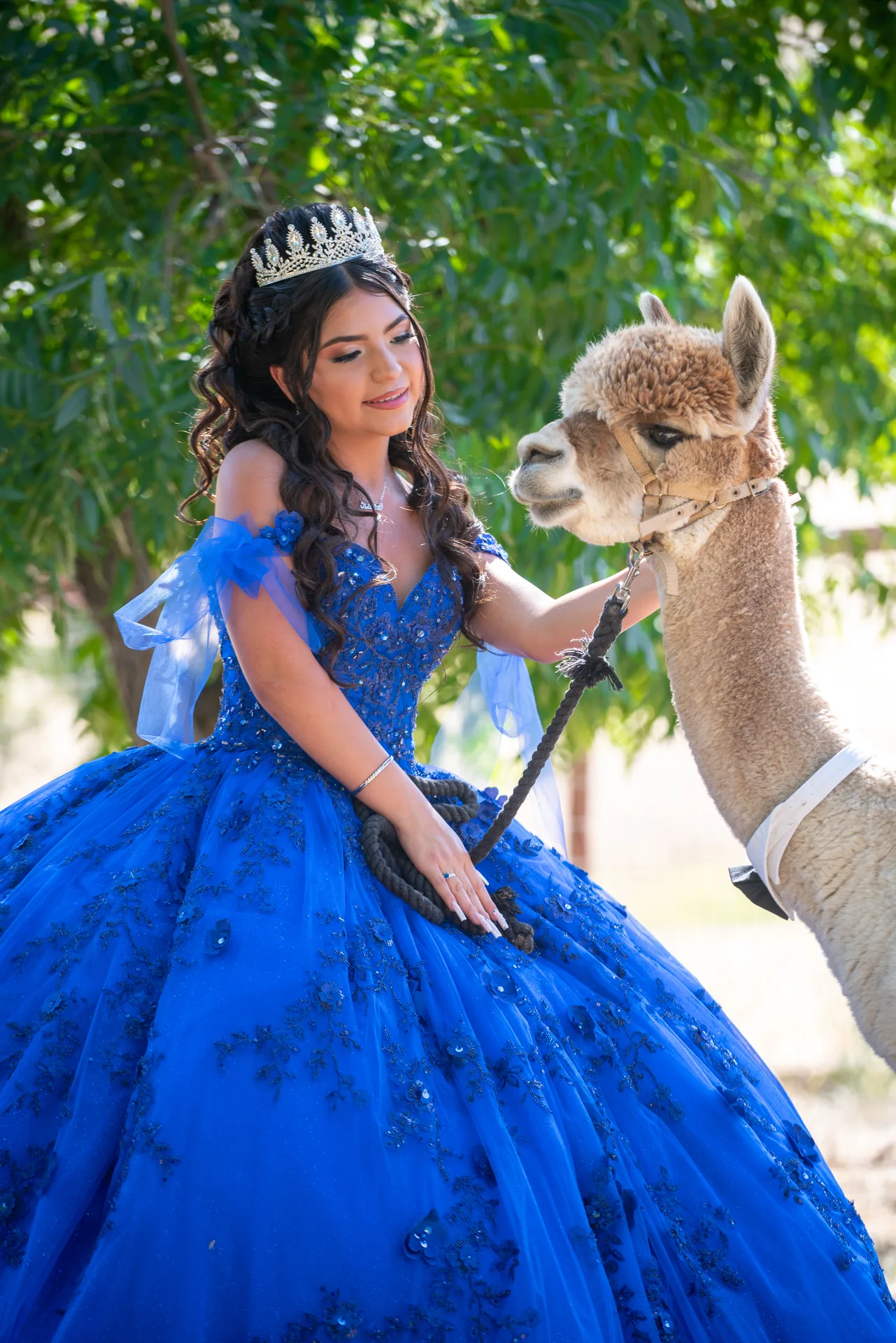 Quinceañera acariciando una alpaca durante una sesión campestre en California