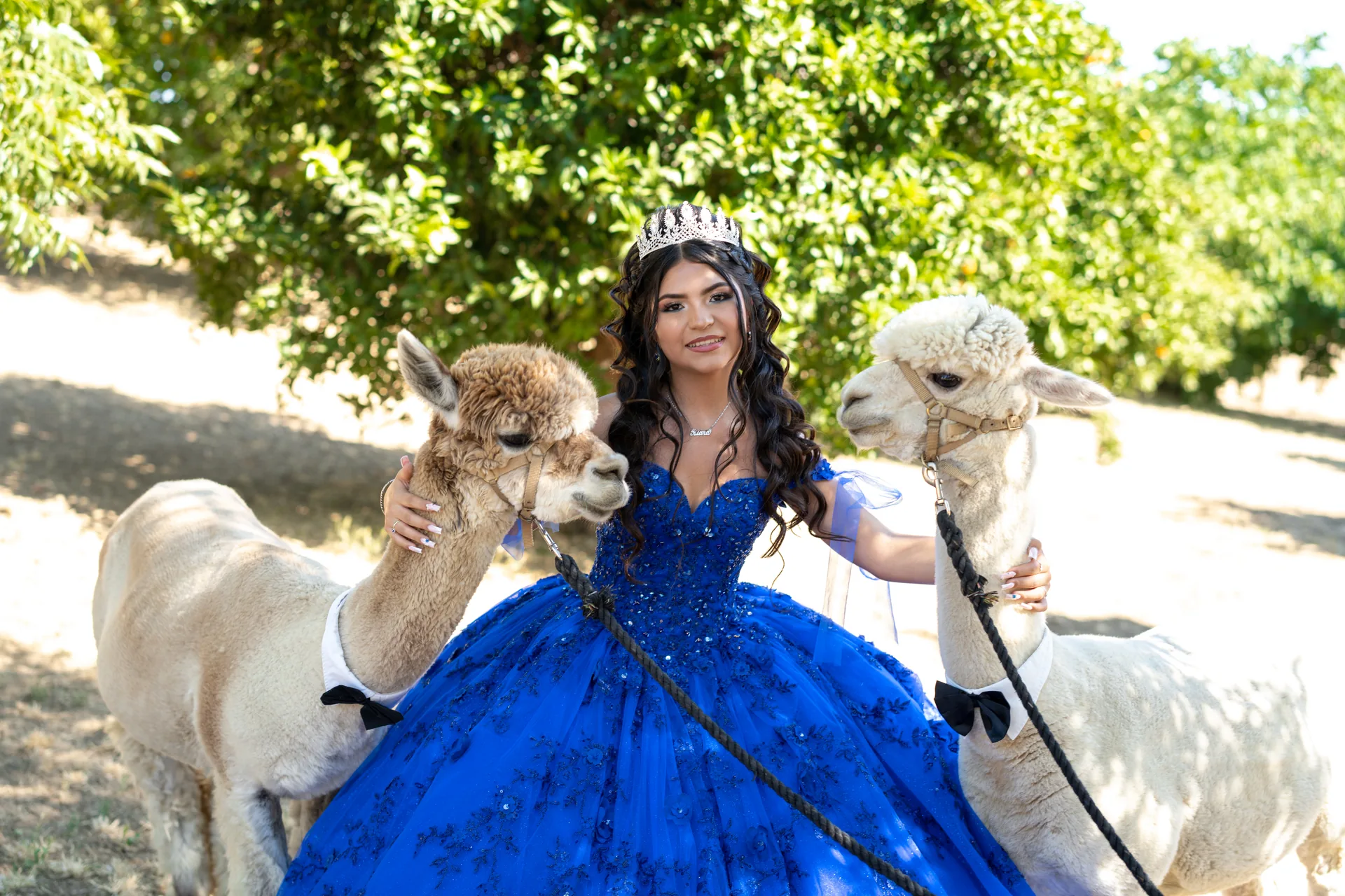 Quinceañera sonriendo entre dos alpacas durante su sesión previa a los quince años